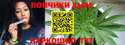 бошки Дубна
