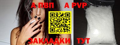 бошки Дубна