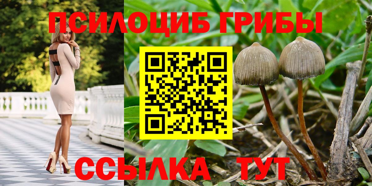 Галлюциногенные грибы Psilocybe  Вход с VPN  Галлюциногенные грибы мухоморы  Норильск 