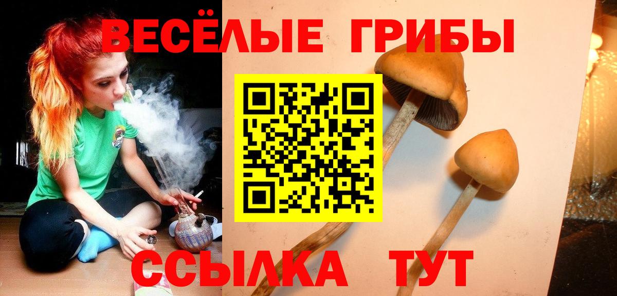 Псилоцибиновые грибы мухоморы Норильск